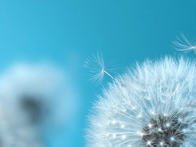 EMDR Therapy
