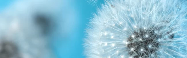EMDR Therapy